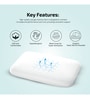 Ultimate Orthopedic & Gel Memory Foam 24 X 16 Inches Pillow In Blue & White Colour