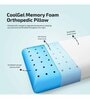 Ultimate Orthopedic & Gel Memory Foam 24 X 16 Inches Pillow In Blue & White Colour