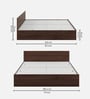Ultramax Wood King Size Bed in Columbian Walnut and Frosty White Finish with Box Storage