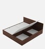 Ultramax Wood King Size Bed in Columbian Walnut and Frosty White Finish with Box Storage