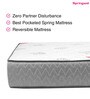 Softech Series 8 Inch Single Size Pocket Spring Mattress in White & Grey Colour