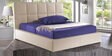 Upholstered Platform Queen Size Bed with Storage in Beige Leatherette