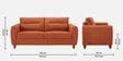 Modern Terra Upholstery 3 Seater Sofa With Solid Wood Frame Legs In Cider Orange Colour
