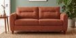 Modern Terra Upholstery 3 Seater Sofa With Solid Wood Frame Legs In Cider Orange Colour