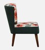 Nova Velvet Slipper Chair In Green & Pink Colour