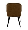 Urban Maharaja Suede Dining Chair In Brown Colour