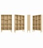 Urban Majesty Premium Multi Utility Rack Book Shelf In Sylvan Oak Light Finish