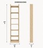 Urban Majesty Premium Multi Utility Rack Book Shelf In Sylvan Oak Light Finish
