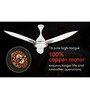 Usha Bloom Bellflower 1300 Mm Goodbye Dust Ceiling Fan (Sparkle White Silver) Set of 2