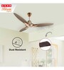 Usha Bloom Daffodil Goodbye Dust Ceiling Fan 1250 Mm (Sparkle Golden & Brown) Set of 2