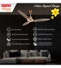 Usha Bloom Daffodil Goodbye Dust Ceiling Fan 1250 Mm (Sparkle Golden & Brown) Set of 2