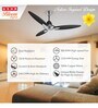 Usha Bloom Daffodil Goodbye Dust Ceiling Fan 1250 Mm (Sparkle Grey & Black) Set of 2
