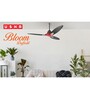 Usha Bloom Daffodil Goodbye Dust Ceiling Fan 1250 Mm (Sparkle Red & Black) Set of 2