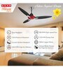 Usha Bloom Daffodil Goodbye Dust Ceiling Fan 1250 Mm (Sparkle Red & Black)
