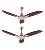 Usha Bloom Primrose Goodbye Dust Ceiling Fan 1250 Mm (Sparkle Golden & Brown) Set of 2
