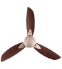 Usha Bloom Primrose Goodbye Dust Ceiling Fan 1250 Mm (Sparkle Golden & Brown) Set of 2