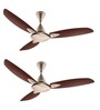 Usha Bloom Primrose Goodbye Dust Ceiling Fan 1250 Mm (Sparkle Golden & Brown) Set of 2