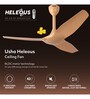 Usha Heleous 1220 Mm Premium BLDC Ceiling Fan with Rust Free ABS Blades and RF Remote (Golden Yellow)