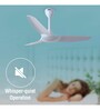 Usha Heleous 1220 Mm Premium BLDC Ceiling Fan with Rust Free ABS Blades and RF Remote (Horizon Blue)
