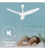 Usha Heleous 1220 Mm Premium BLDC Ceiling Fan with Rust Free ABS Blades and RF Remote (Sparkle White)