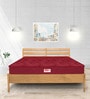 Vitalz 5 inch Foam Single Mattress