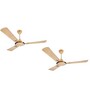 Usha Striker Galaxy 1200 Mm Goodbye Dust Ceiling Fan with Anti Dust Feature (Bright Gold) Set of 2