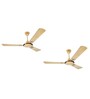 Usha Striker Galaxy 1200 Mm Goodbye Dust Ceiling Fan with Anti Dust Feature (Bright Gold) Set of 2