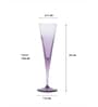 V-Line Champagne Flute Stem Glass 150 ml 2 Pcs Set Purple