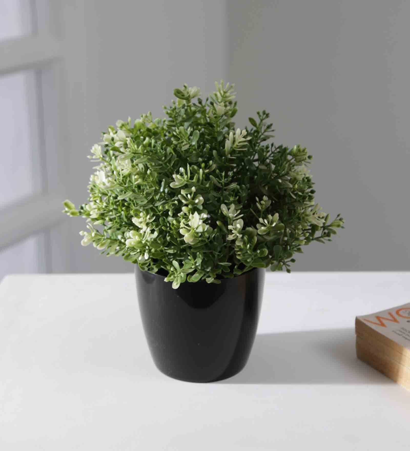 Plastic Black Flower Desk Pots