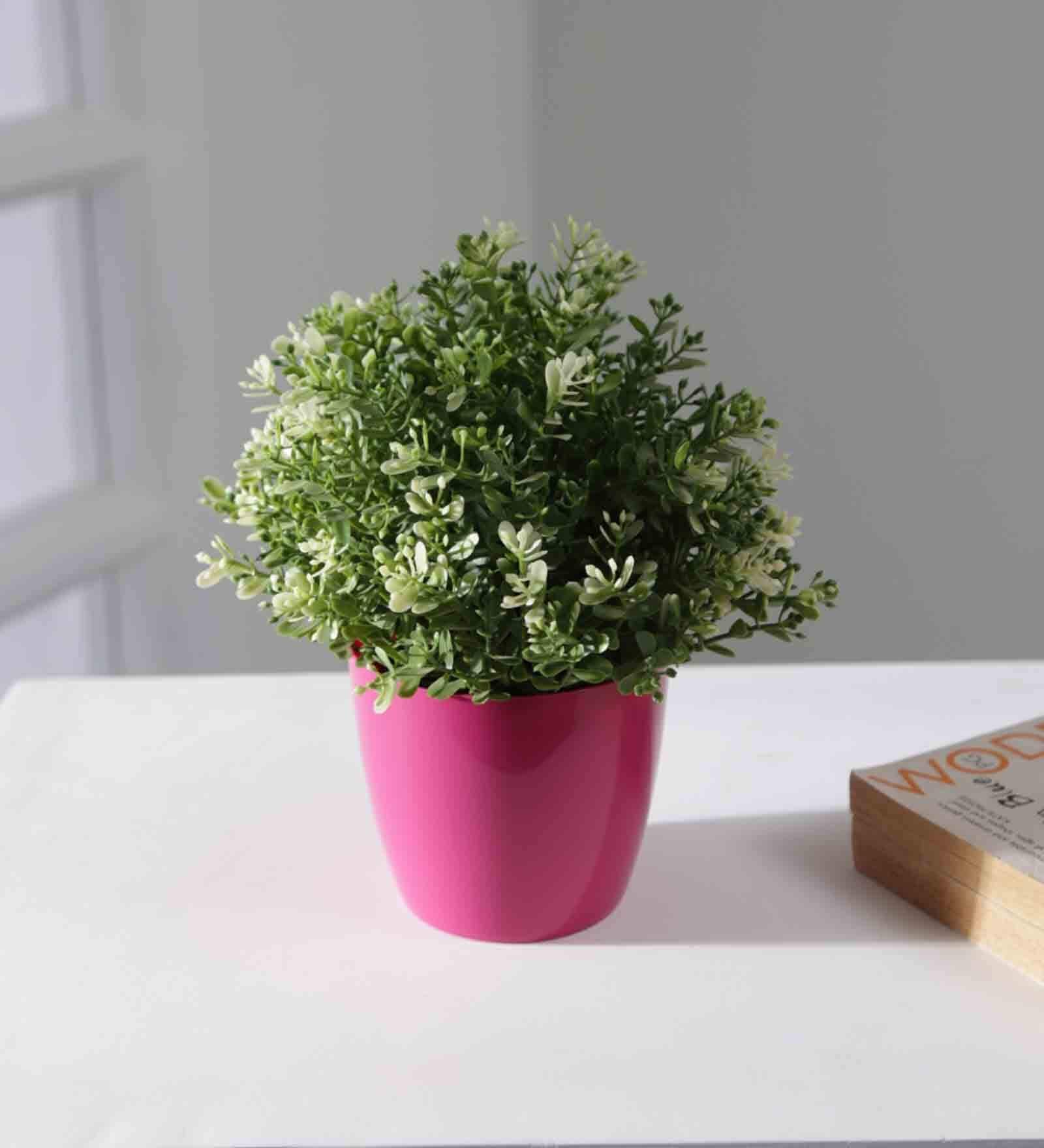 Buy Plastic Pink Flower Desk Pots at 25 OFF by Planters Pepperfry