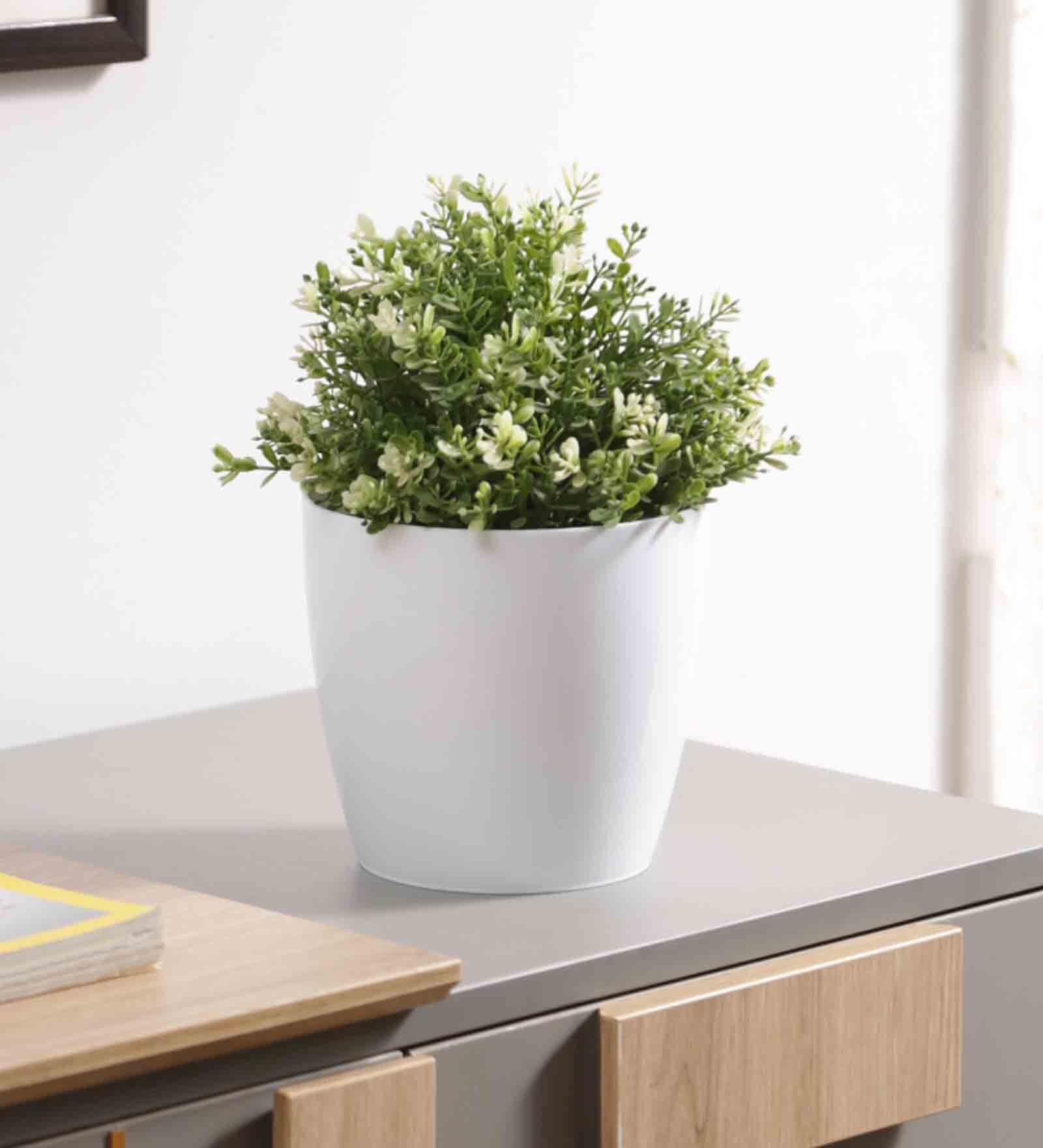 Plastic White Flower Desk Pots