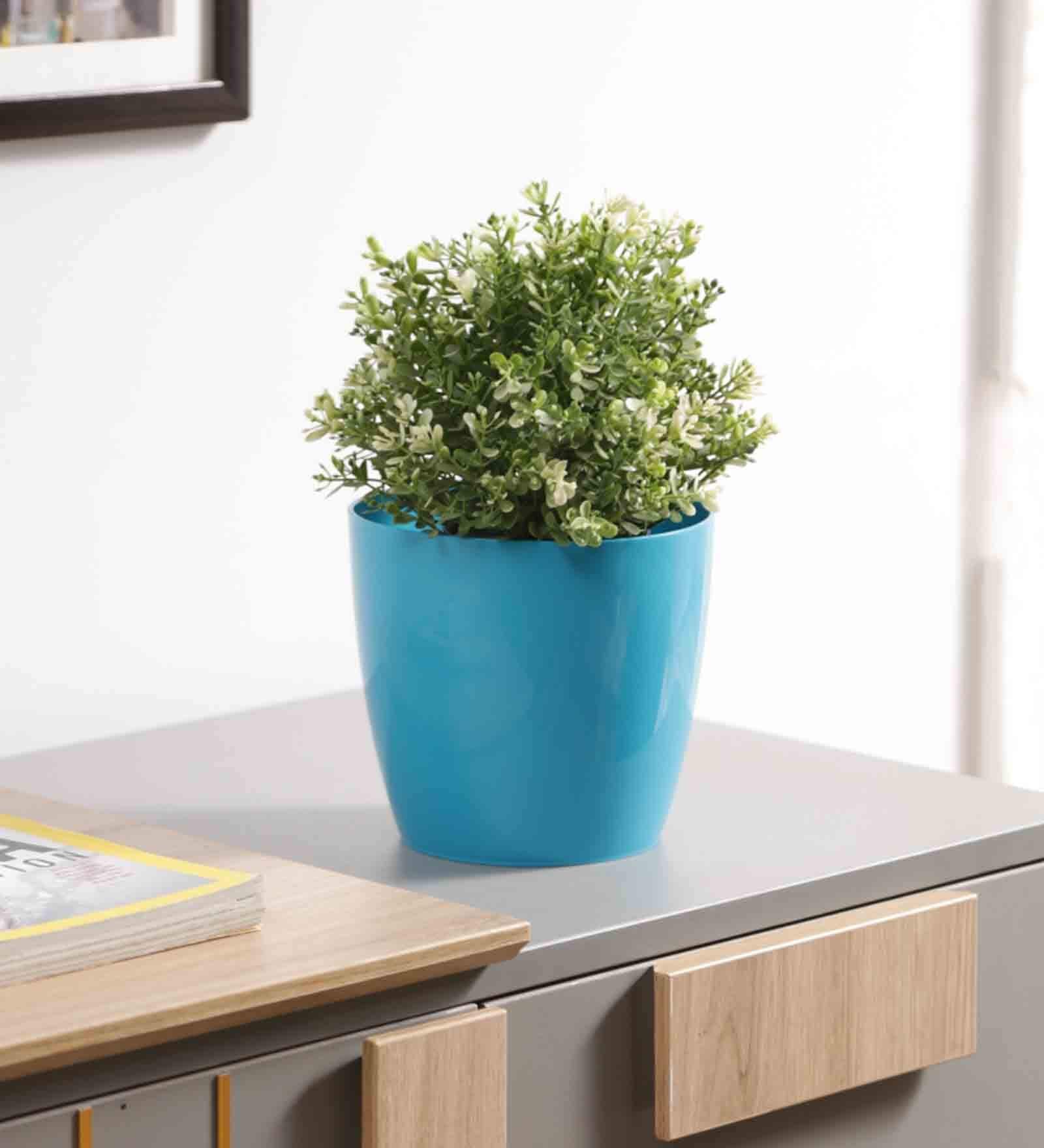 Buy Plastic Blue Flower Desk Pots at 21 OFF by Planters Pepperfry