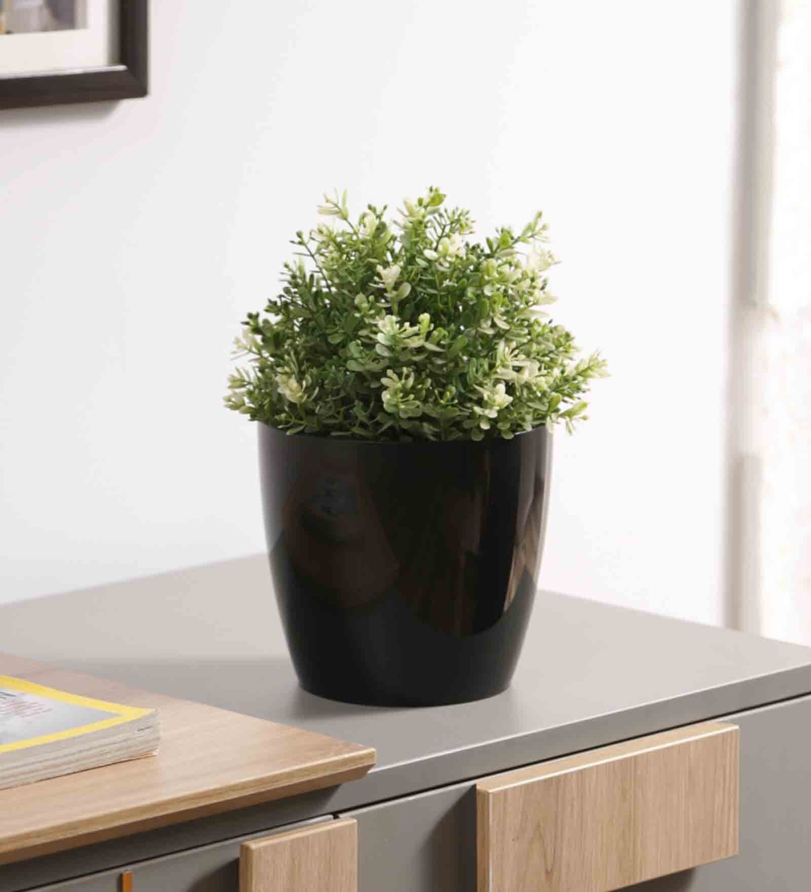 Buy Plastic Black Flower Desk Pots at 13 OFF by Planters Pepperfry