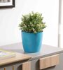Plastic Blue Flower Desk Pots