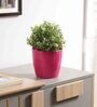 Plastic Pink Flower Desk Pots