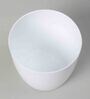 Plastic White Flower Desk Pots