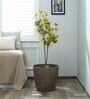 Plastic Brown Flower Pot