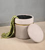 Valencia Suede Pouffe With Storage In Beige Colour
