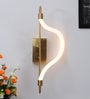 Vallecilo Metal LED Novelty Wall Light (Gold)