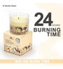 Vanilla Bean Glass Candle (White)