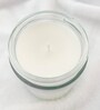 Vanilla Scented Christmas Candle Festive Holiday Aroma in Elegant Glass Jar