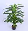 Artificial Variegated Dracaena Plant with Pot