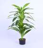 Artificial Variegated Dracaena Plant with Pot