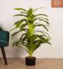 Artificial Variegated Dracaena Plant with Pot