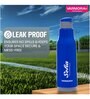 Varmora Sofia| Plastic Insulated Water Bottle| FDA Approved BPA-Free | Hot & Cold Compatible | 600ml- Blue