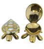 Vastu Feng Shui Triple Tortoise Turtle Family for Protection, Good Luck, Wealth and Longevity