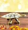 Vastu Feng Shui Triple Tortoise Turtle Family for Protection, Good Luck, Wealth and Longevity