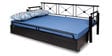 Metallika Venice Metallic Pull-Out Sofa Cum Bed with Storage & Blue Mattress