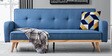 Baxter Convertible Sofa Cum Bed in Classic Blue Colour