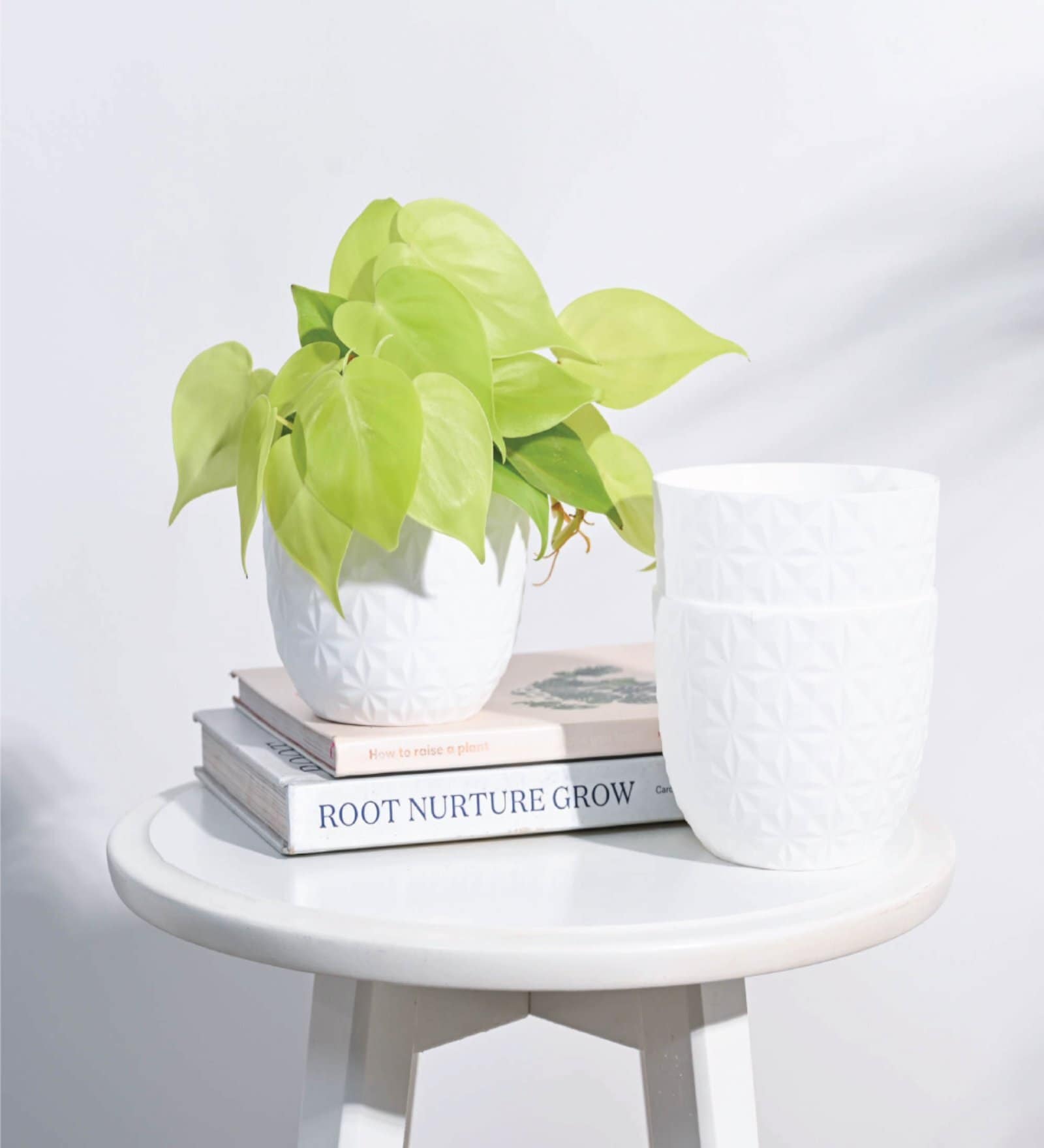 Verona Mocca (Set of 3) Plastic Planters